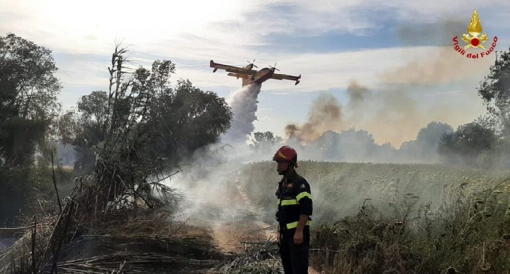 INCENDI: QUASI 230 KMQ IN FUMO DA GENNAIO IN TUTTA ITALIA | Comunicato + foto