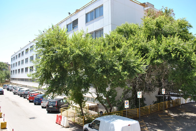 Musica natalizia per i reparti ospedalieri