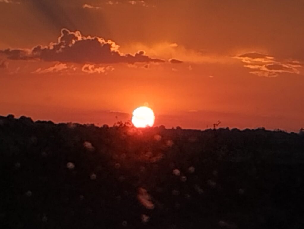 Sorpresa, fa troppo caldo per l’energia solare il che rende in Europa i pannelli solari meno efficienti