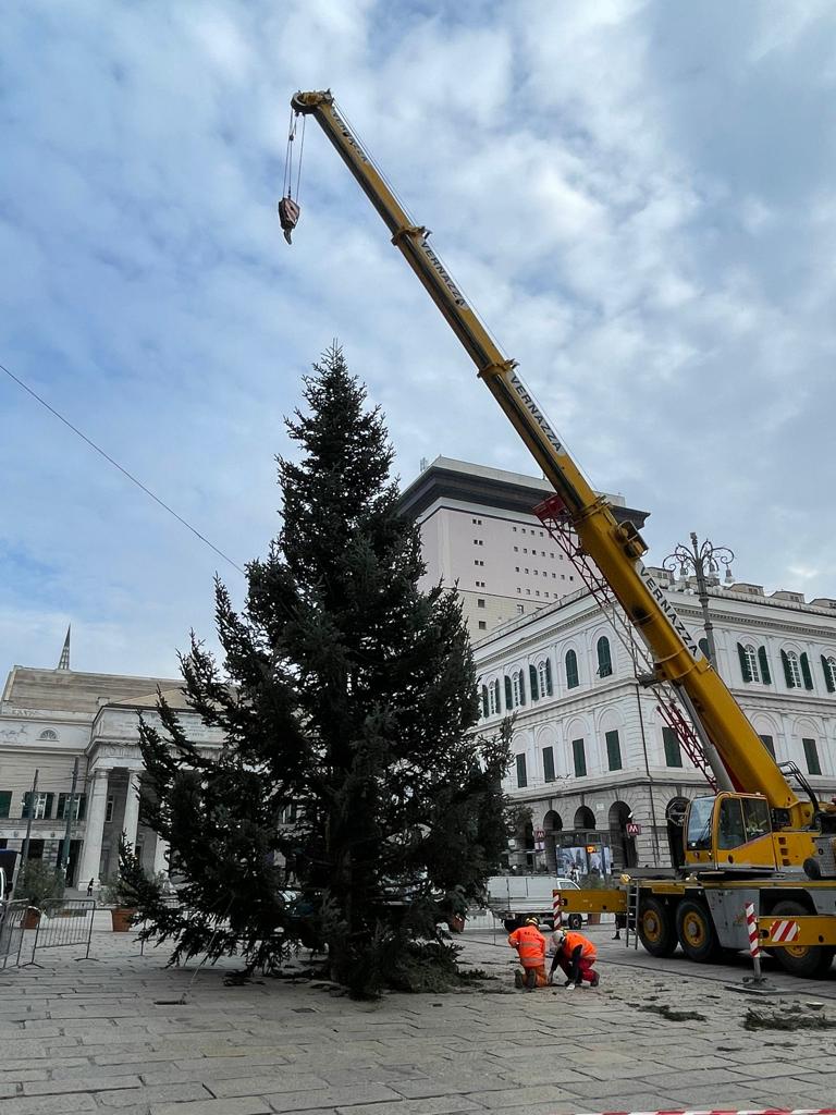 NATALE: ARRIVATO DALLA LOMBARDIA IN PIAZZA DE FERRARI IL GRANDE ALBERO DI NATALE CHE ILLUMINERÀ LE FESTE