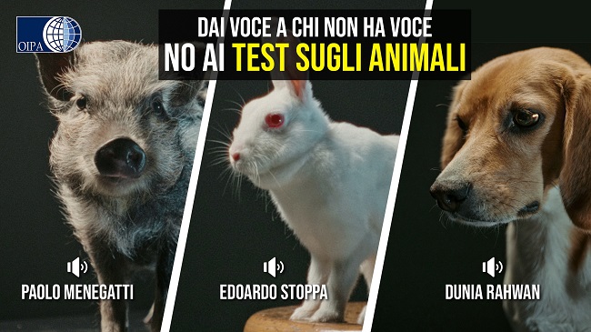 SPERIMENTAZIONE SUGLI ANIMALI IN EUROPA, I PENSIERI E LE VOCI DEGLI ANIMALI DEI LABORATORI IN UN VIDEO