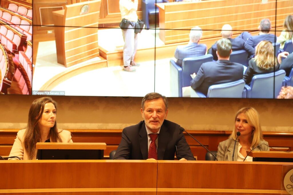 FdI al Senato presenta ddl su violenza domestica. “Di violenza sulle donne non se ne parla mai abbastanza. Puntare su tre pilastri: prevenzione, protezione e certezza della penaâ€