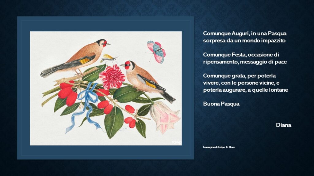 Comunque auguri