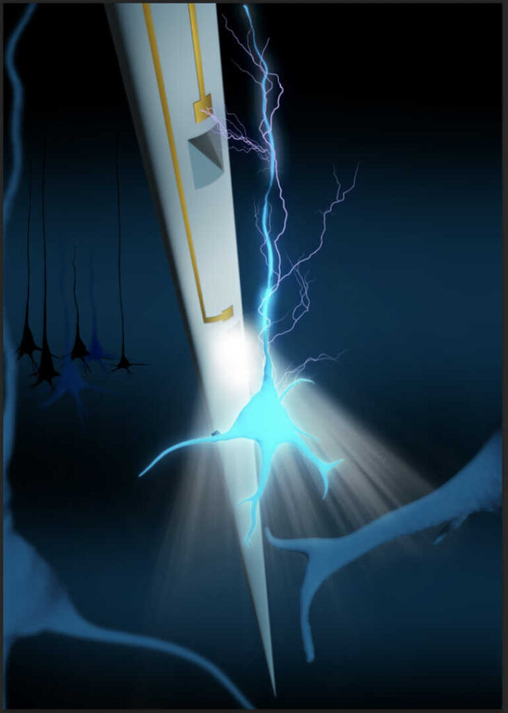 ricerca studio cervello con dispositivo ibrido elettronico e fotonico