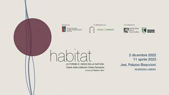 Comunicato stampa concorso musicale M4NG