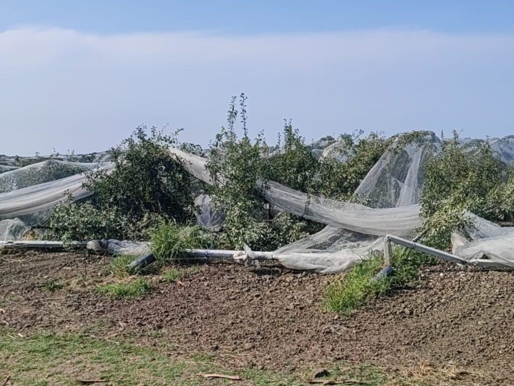 Legacoop Romagna: «Danni da cambiamento climatico, basta negazionisti, serve un fondo nazionale»