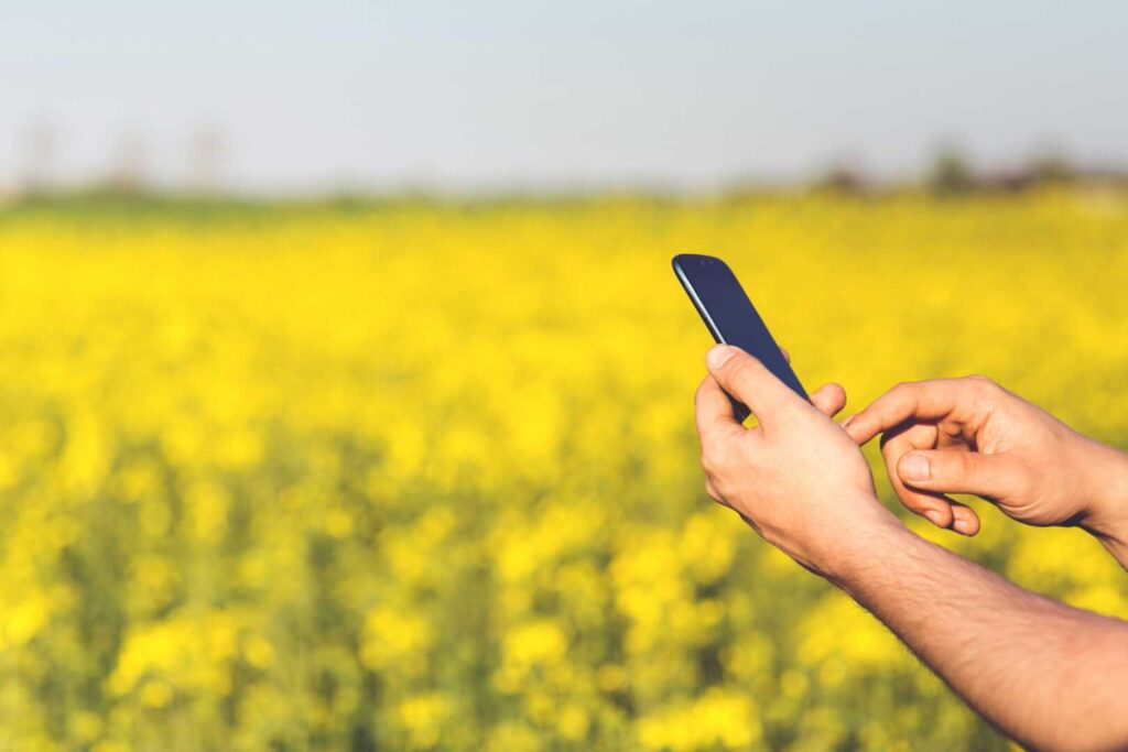 Macfrut: Cia, settore più sostenibile se smart. PNRR guidi svolta agritech