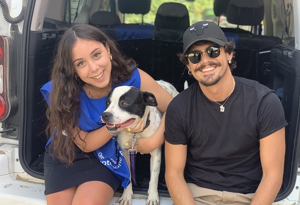 LIETO FINE PER IL PITBULL ABBANDONATO A NAPOLI SOTTO L’OCCHIO DI UNA TELECAMERA: È STATO RISCATTATO DALL’OIPA E ORA CERCA CASA