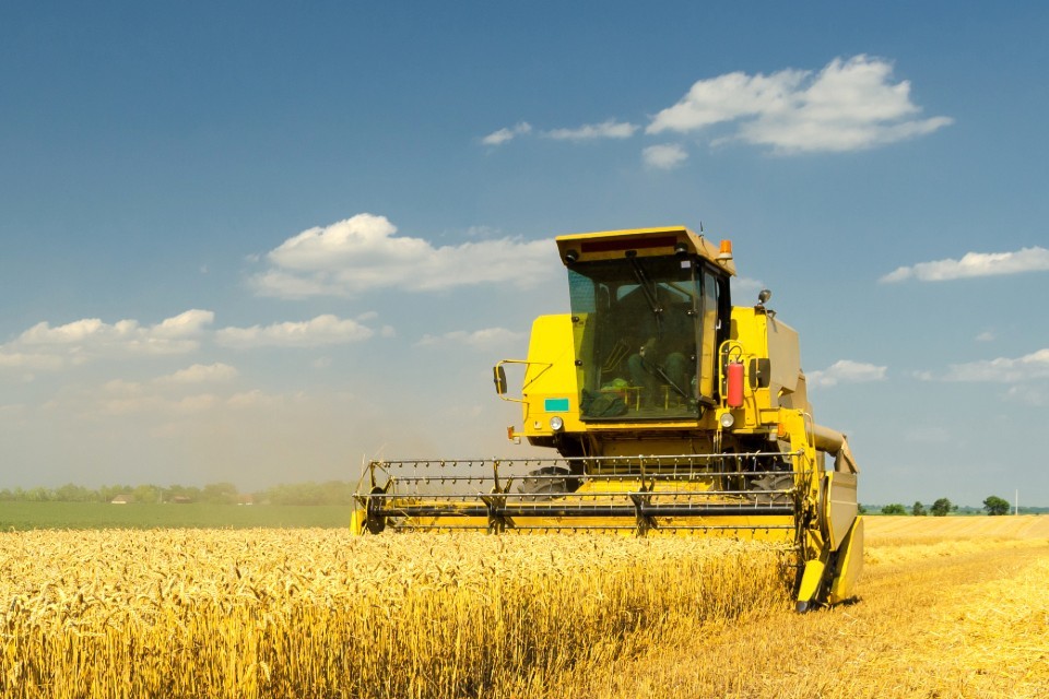 Impact of war on Ukraine on food chain supply: information resource