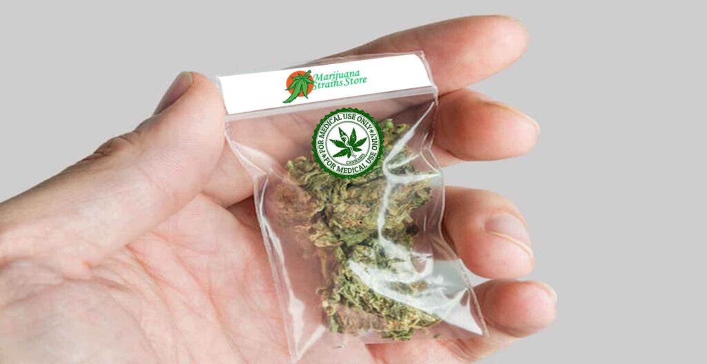 The Ultimate Guide To Buy Weed Online: Order Marijuana Legally In 2022 – Observer