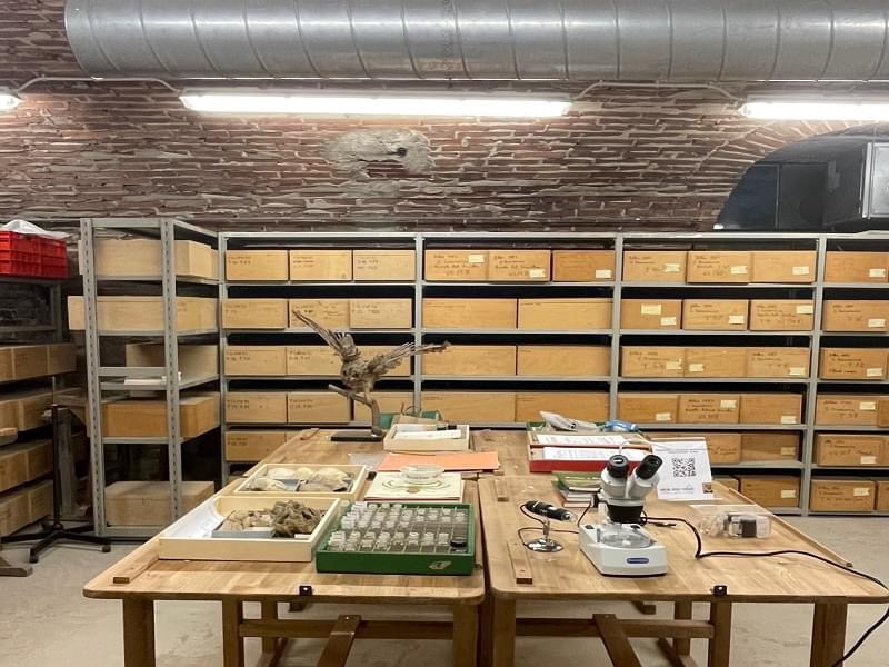 Comunicato – 3 settembre: Depositi museali aperti e visita alla Città invisibile