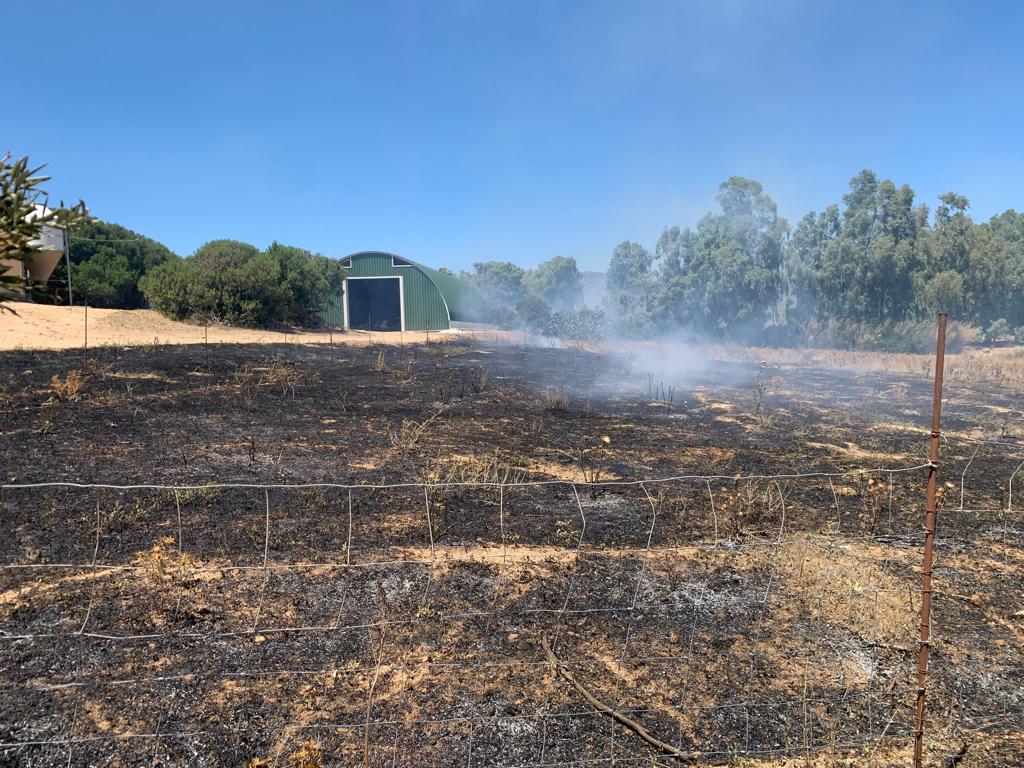 INCENDI: COLDIRETTI, CENTINAIA ETTARI A FUOCO, DA AGRUMI A FORAGGI