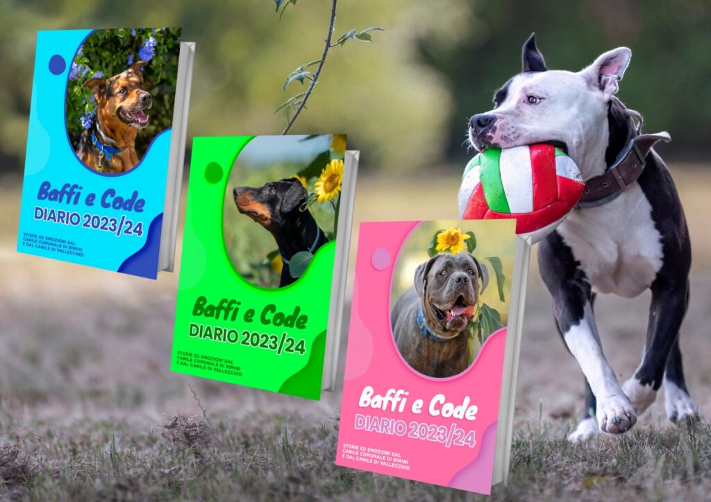 Sabato 9 settembre un nuovo open day al canile di Rimini Stefano Cerni per conoscere gli amici a quattro zampe e le attività della struttura