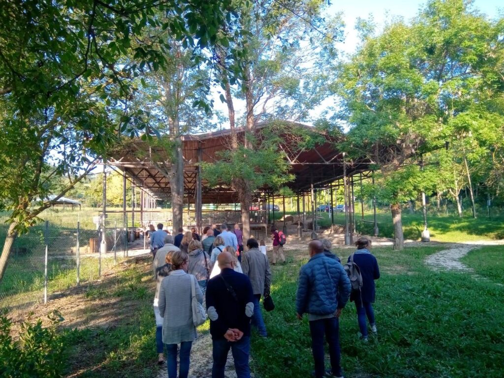 A Pesaro un Ferragosto di cultura e musica