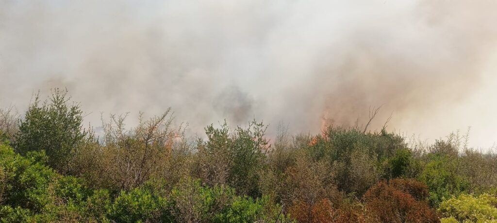 Rif. Agenzia regionale 1011.23 Protezione civile, a Martina Franca scongiurata la distruzione di 90 ettari di macchia mediterranea