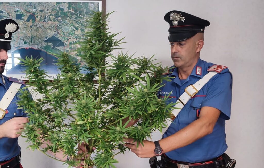 #CONTIENE FOTO# NETTUNO – CARABINIERI ARRESTANO UN 50ENNE GRAVEMENTE INDIZIATO DEL REATO DI DETENZIONE AI FINI DI SPACCIO DI SOSTANZA STUPEFACENTE.
