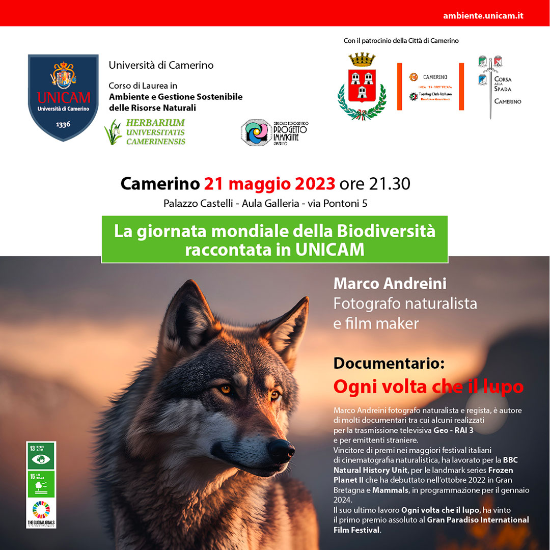 Locandina