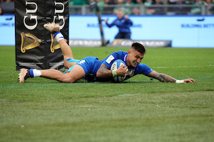 Bruno 300