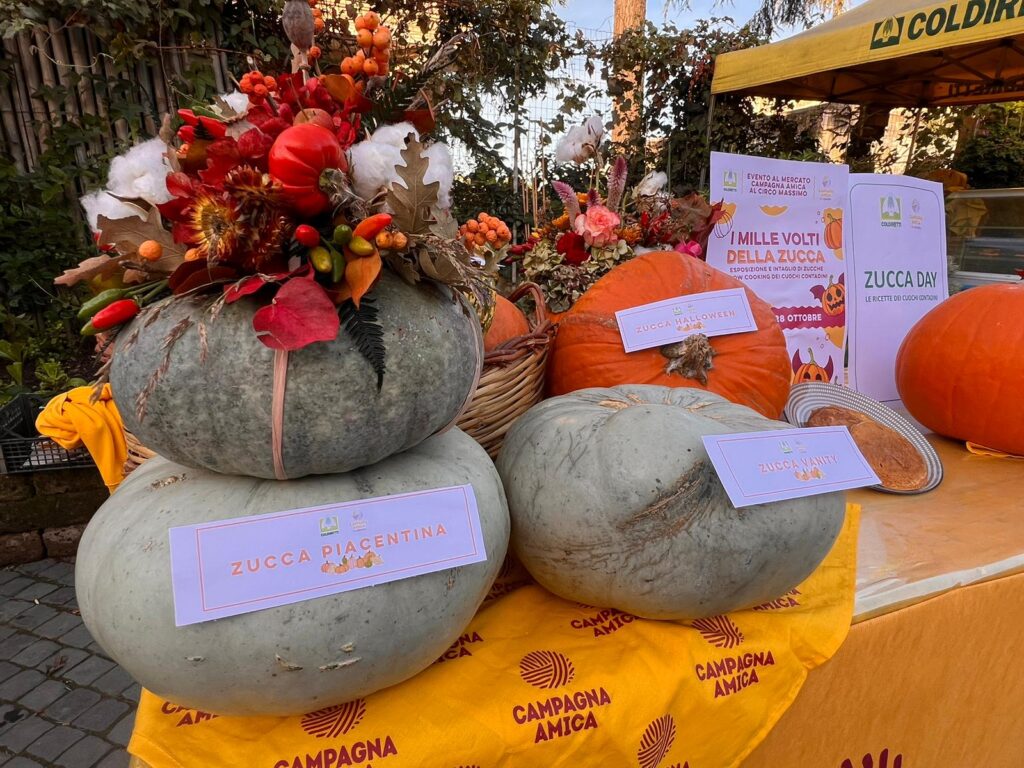 ++HALLOWEEN: COLDIRETTI -20% ZUCCHE ITALIANE CON CLIMA PAZZO++