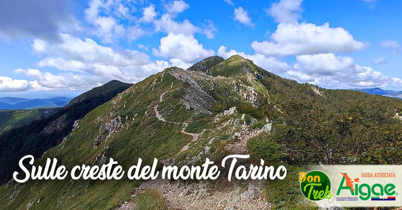 Gio 08 Giu – PR Monti Simbruini – Sulle creste del monte Tarino