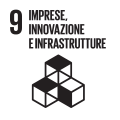 9. Imprese, innovazione e infrastrutture