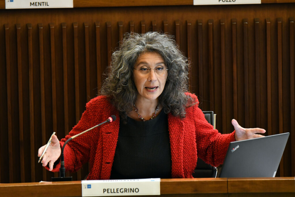 (ACON) AMBIENTE. PELLEGRINO (AVS): VOLONTARI, CONTRADDIZIONI DA SCOCCIMARRO