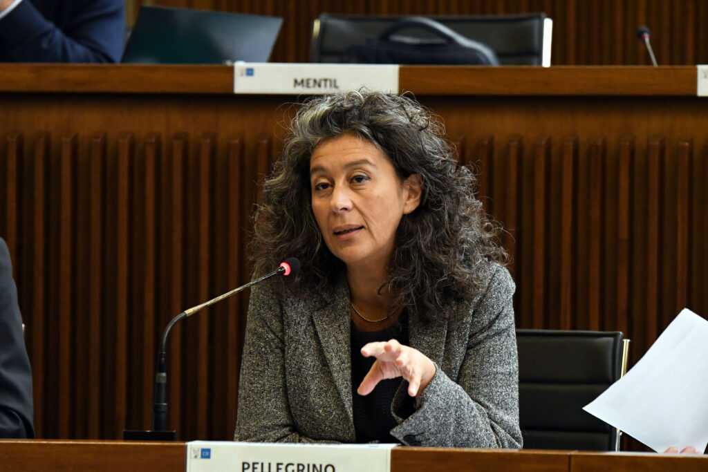 (ACON) AMBIENTE. PELLEGRINO (AVS): CENTRALINE IDROELETTRICHE DI SACILE FERME