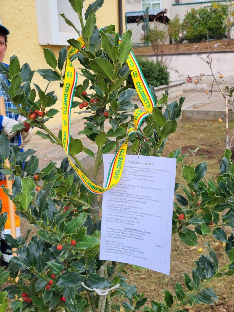 COLDIRETTI HA CELEBRATO A CALVELLO LA GIORNATA NAZIONALE DELL’ALBERO