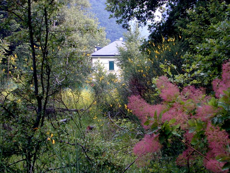Land Art al Furlo, aperto il bando per l’edizione 2024