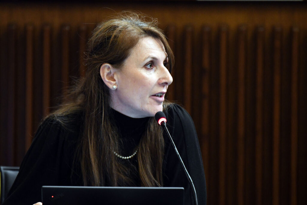 (ACON) BILANCIO. CAPOZZI (M5S): A FAMIGLIE E NEOMAMME SERVONO PI SERVIZI