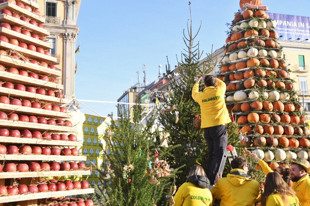 IMMACOLATA: COLDIRETTI, ALBERI VERI IN 3,5 MLN DI CASE, 38 EURO DI SPESA