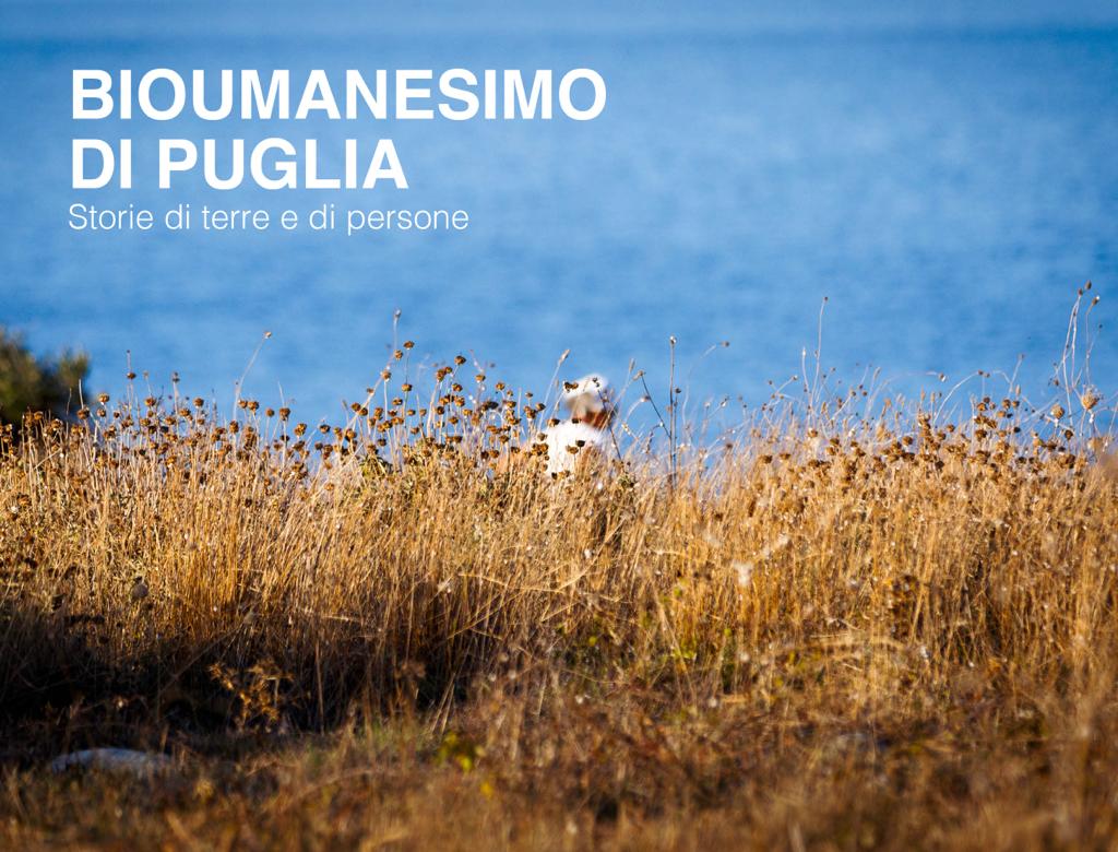 Agenzia regionale 1597.23 Emiliano Maraschio_conf stampa presentazione libro Bioumanesimo di Puglia