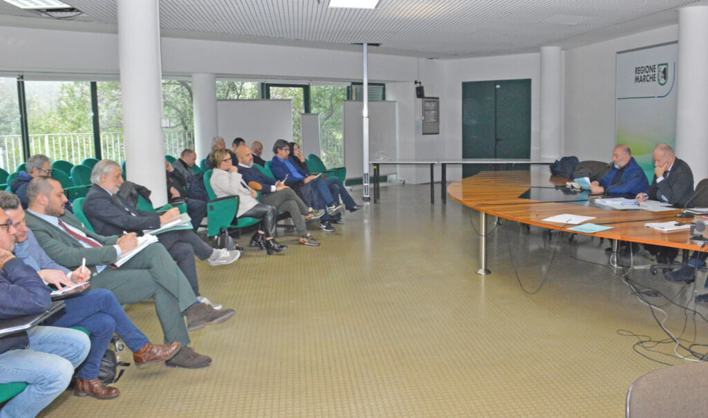 comunicato antonini brandoni bolkestein