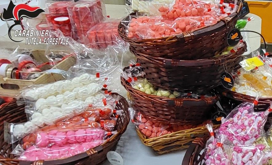 Comunicato Stampa Forestale Carabinieri Caserta del 05.01.2024