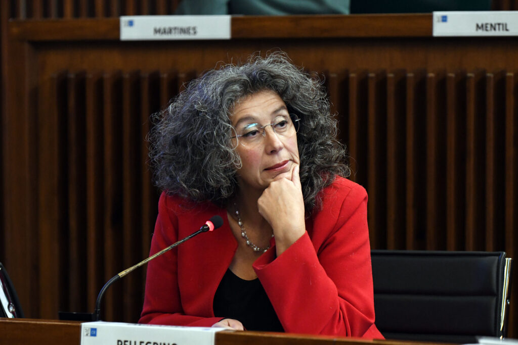 (ACON) ISLAM. PELLEGRINO (AVS): IN PARLAMENTO IL CASO-CONTROLLI A MONFALCONE