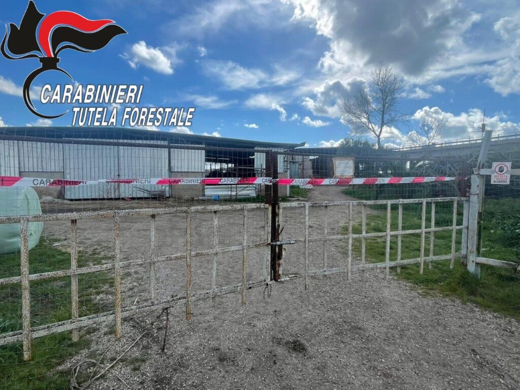 GRUPPO CARABINIERI FORESTALE DI CASERTA – APPUNTO STAMPA DEL 23/02/2024