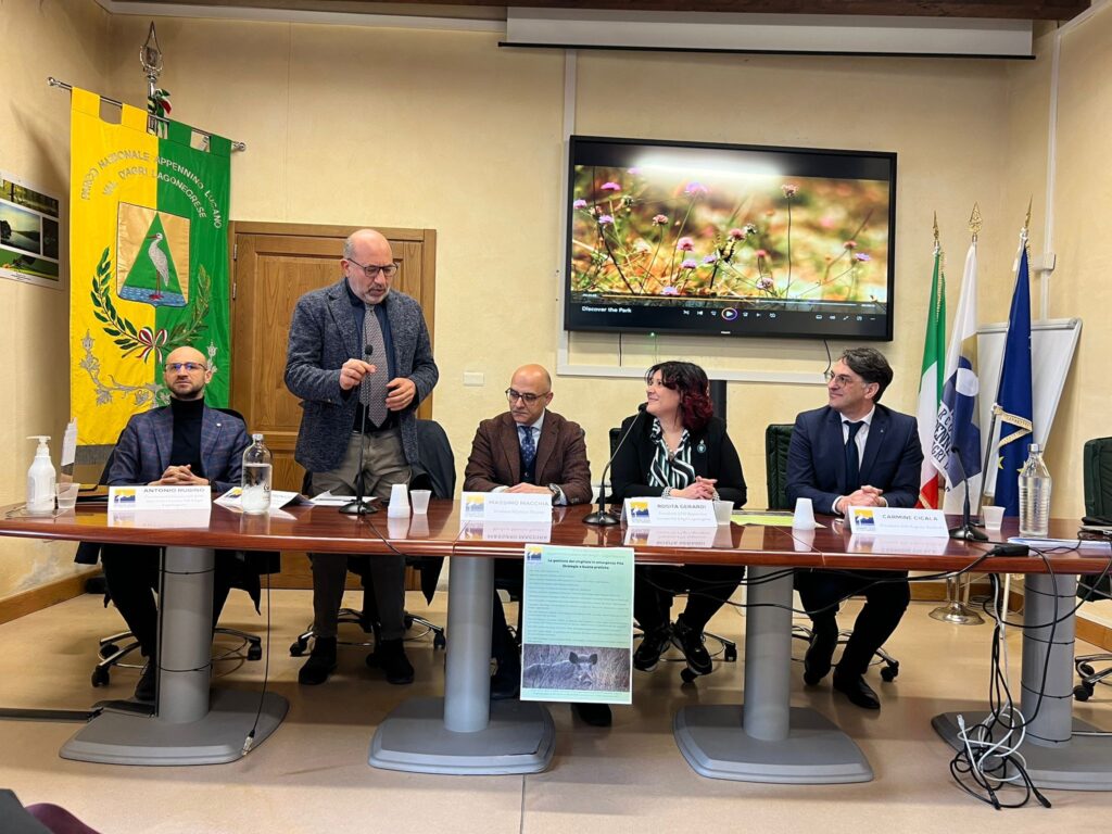 Assessore Latronico su best practices gestione emergenza cinghiale in Basilicata