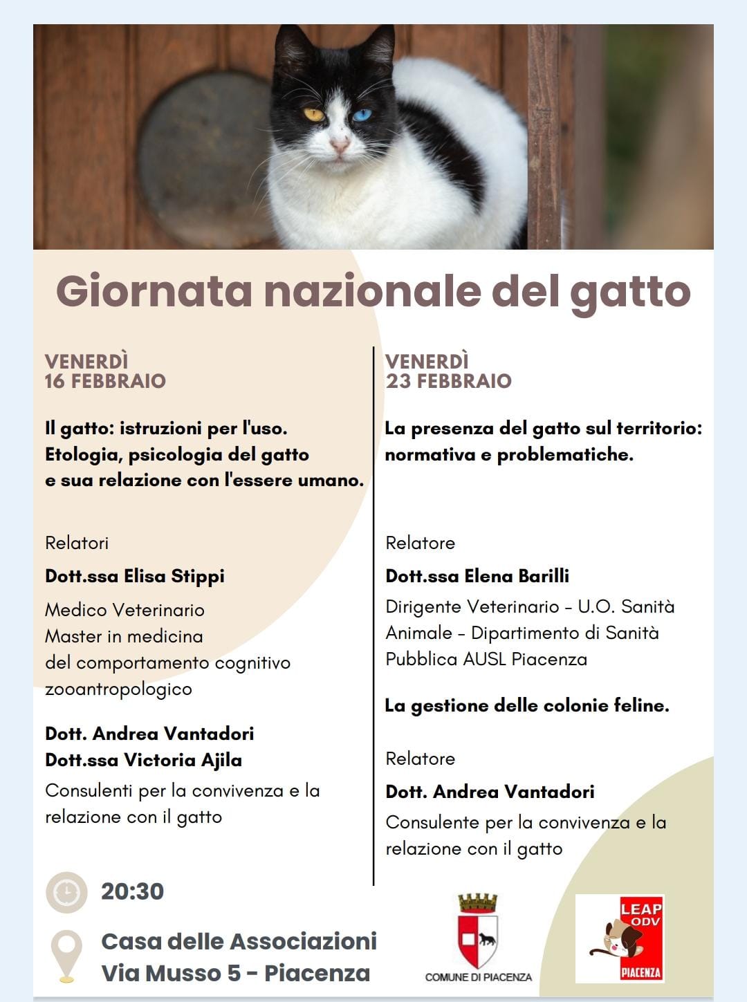 Giornata nazionale del gatto, due incontri pubblici dedicati ai felini.  Dalla relazione domestica alle colonie sul territorio - Agenparl