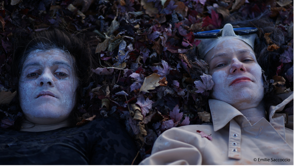 Comunicato stampa Colli in Circo – Valenza 22 marzo