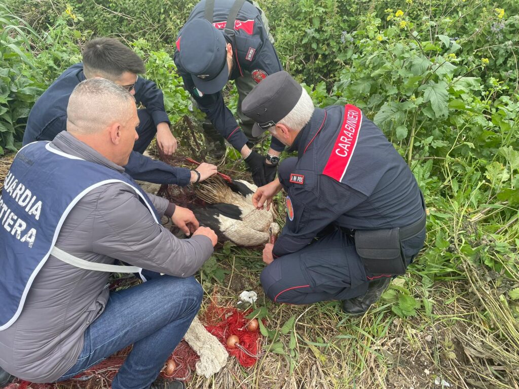 GRUPPO CARABINIERI FORESTALE DI CASERTA – APPUNTO STAMPA DEL 28.03.2024