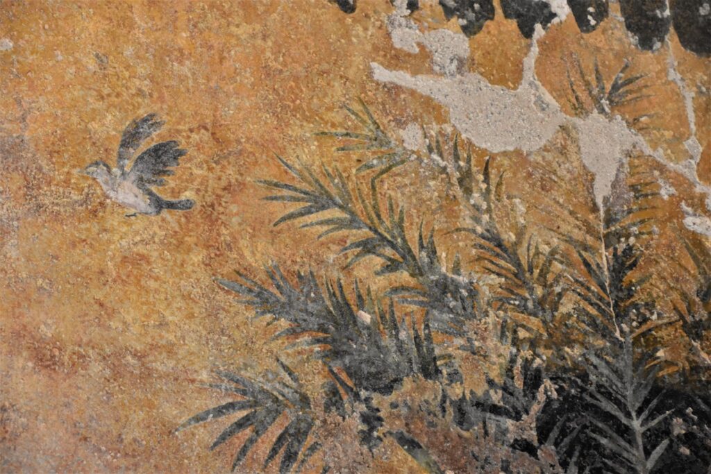 8 marzo – APERTURA delle TERME FEMMINILI del FORO