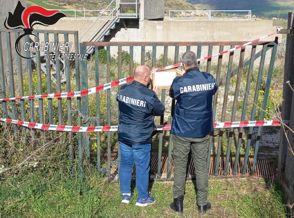 COMUNICATO STAMPA – Centro Anticrimine Natura Carabinieri di Palermo