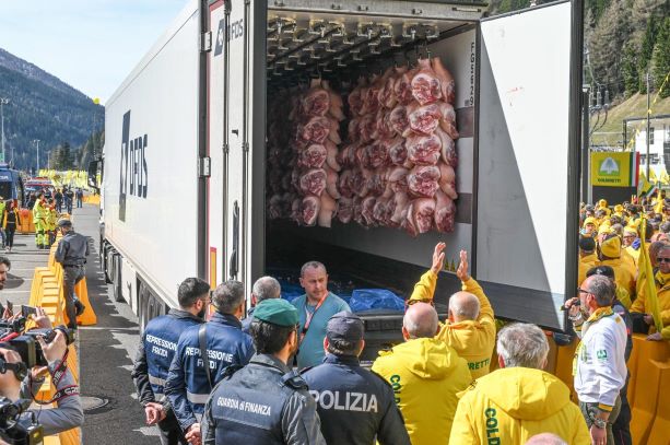 MADE IN ITALY: COLDIRETTI, AL BRENNERO SCOPERTI DA COSCE DI MAIALE DANESI A UVA INDIANA