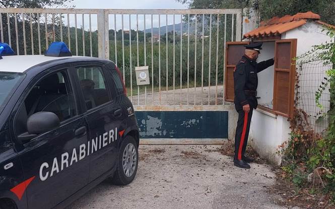 3° comunicato stampa del 15 aprile 2024