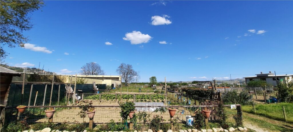 Alba: pubblicato il bando per la concessione di 21 orti urbani in strada Occhetti. La scadenza delle domande è venerdì 31 maggio 2024