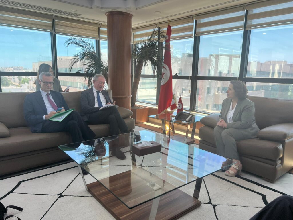 Piano Mattei, Urso: “Consolidare cooperazione tra Italia e Tunisia su materie prime critiche e connettività energetica”