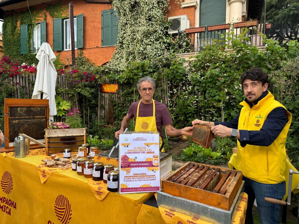 GIORNATA API: COLDIRETTI, SOS INVASIONE MIELE DALL’ESTERO, +23% NEL 2024