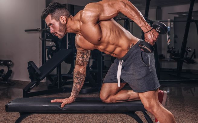 La musculation, une pratique en vogue pour rester en forme La musculation, une pratique en vogue pour rester en forme