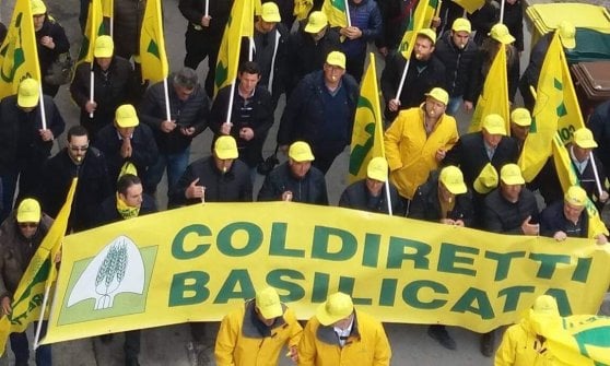 Siccità: Coldiretti in presidio martedì davanti alla Prefettura di Potenza