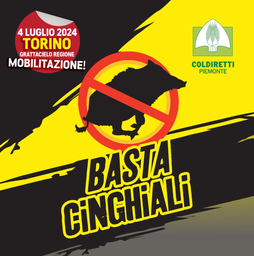 ++RECALL: 4 LUGLIO 2024 DALLE ORE 20:30: BASTA CINGHIALI-MIGLIAIA DI AGRICOLTORI DI COLDIRETTI PIEMONTE SOTTO IL GRATTACIELO DELLA REGIONE++
